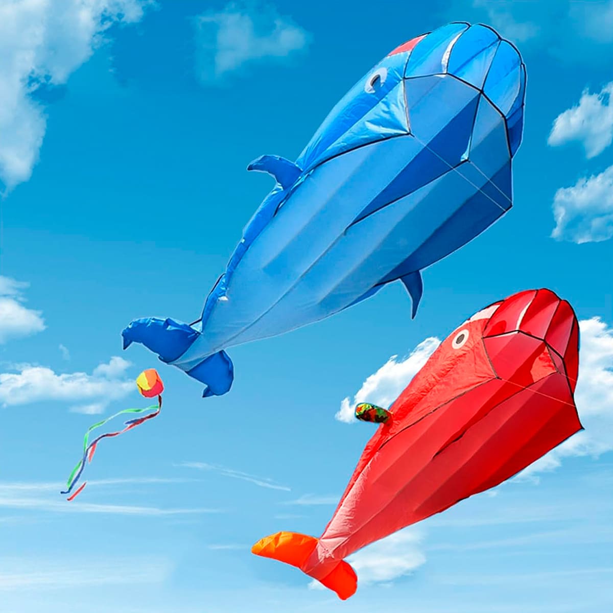 Cometa Ballena 3D